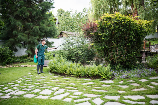 Best Affordable Pest Control Services  in Blacksburg, SC